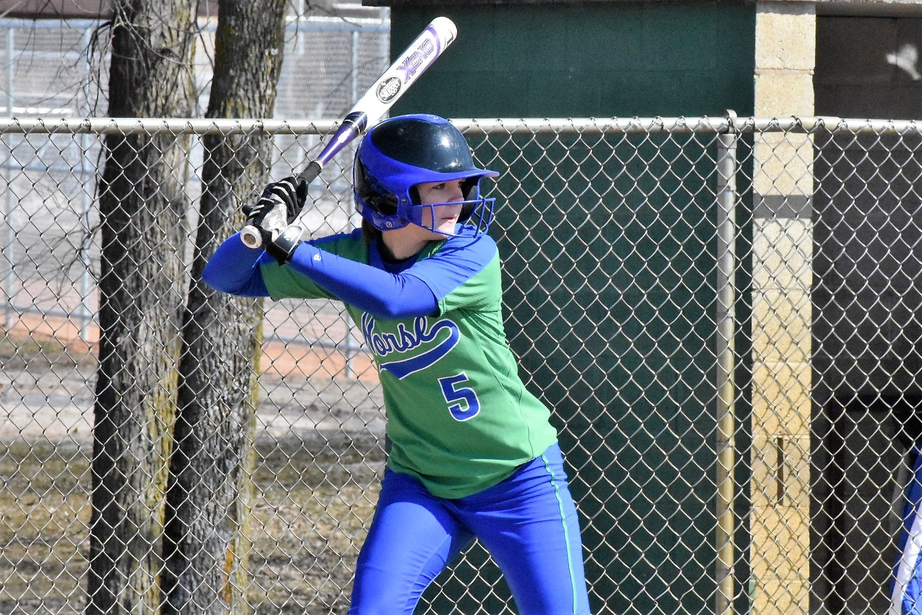 Eve LeFleche in her batting stance waiting for the pitch